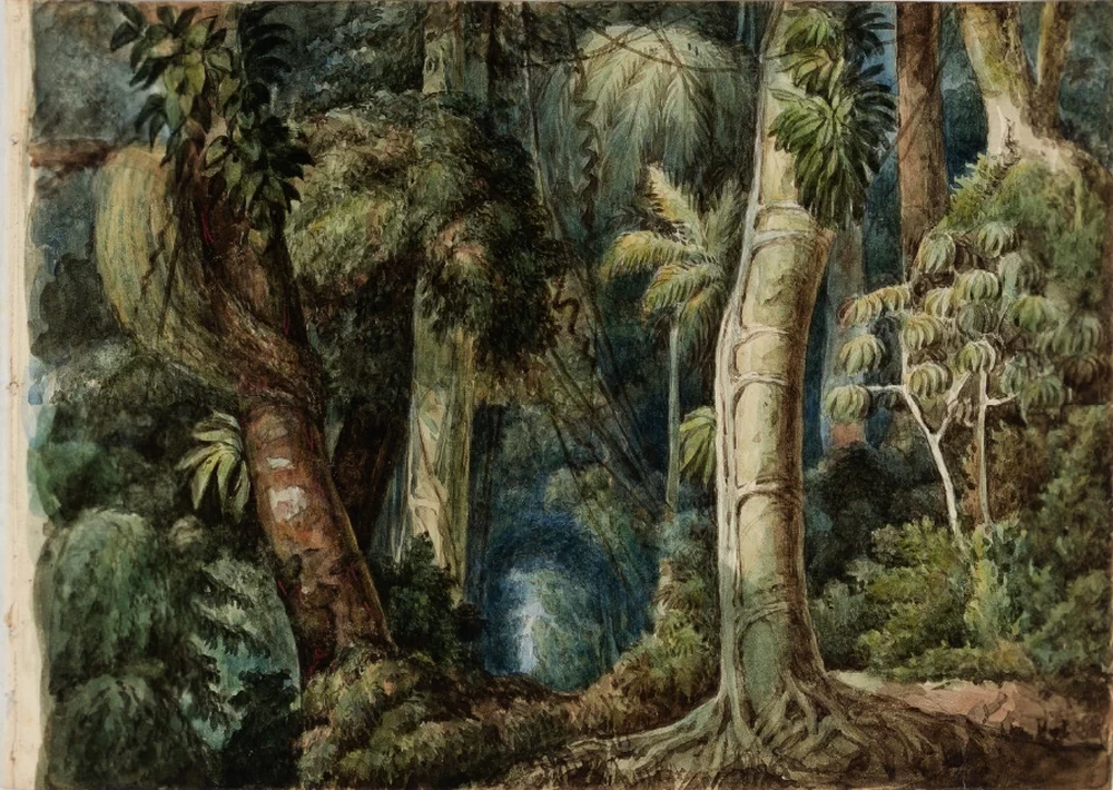 Manuel de Araújo Porto - Alegre, foresta vergine 1